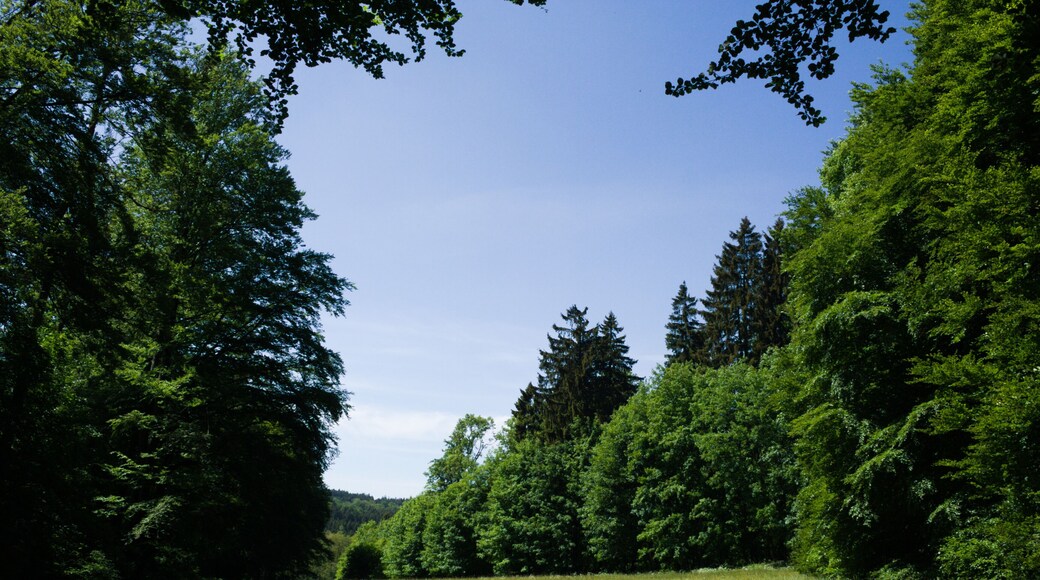 This is a picture of the protected area listed at WDPA under the ID