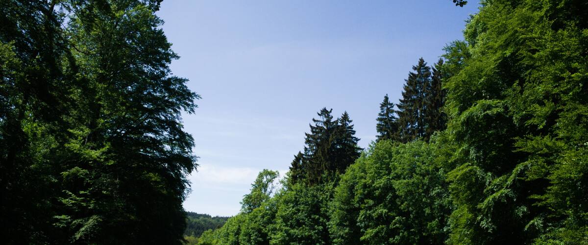 This is a picture of the protected area listed at WDPA under the ID