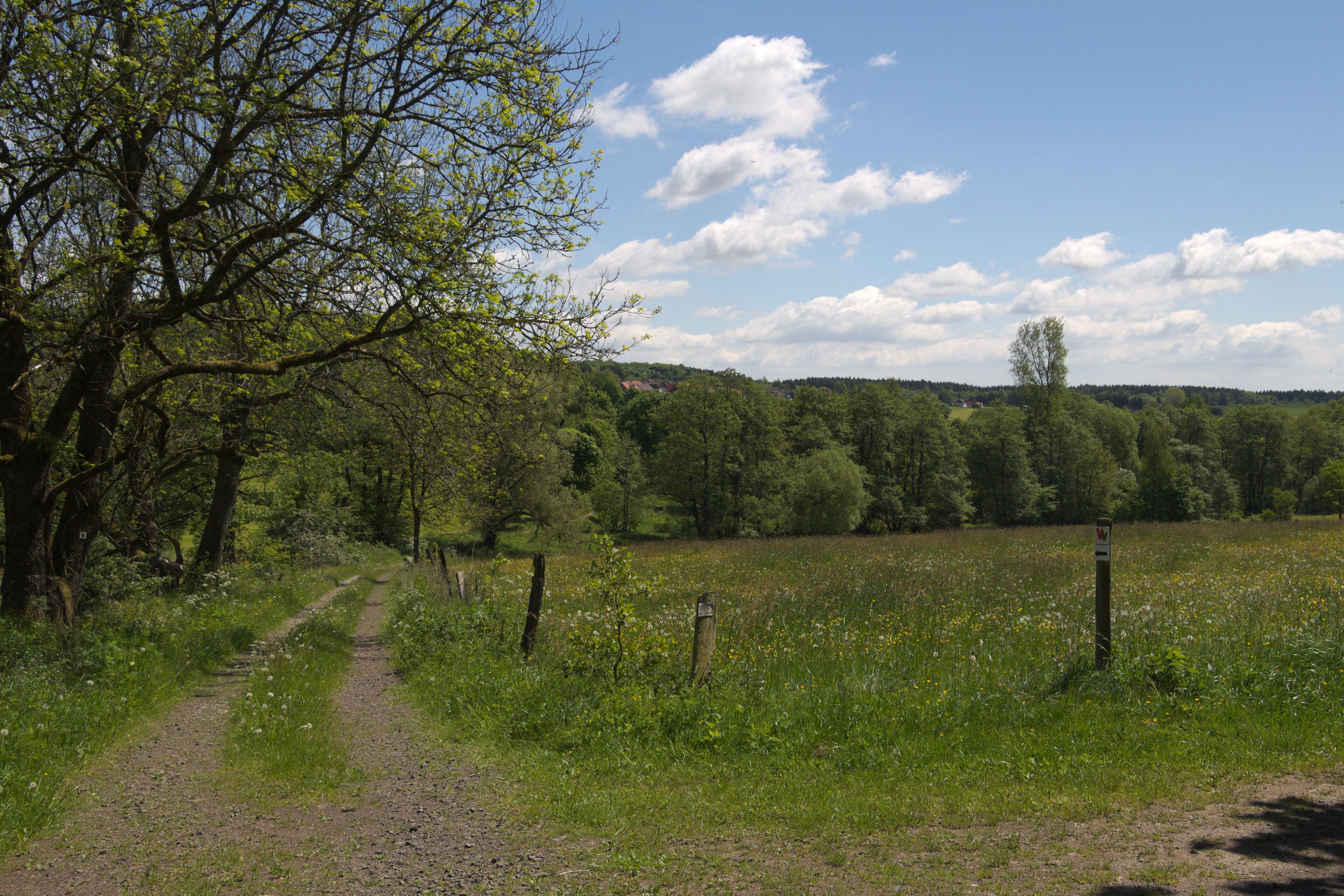 This is a picture of the protected area listed at WDPA under the ID