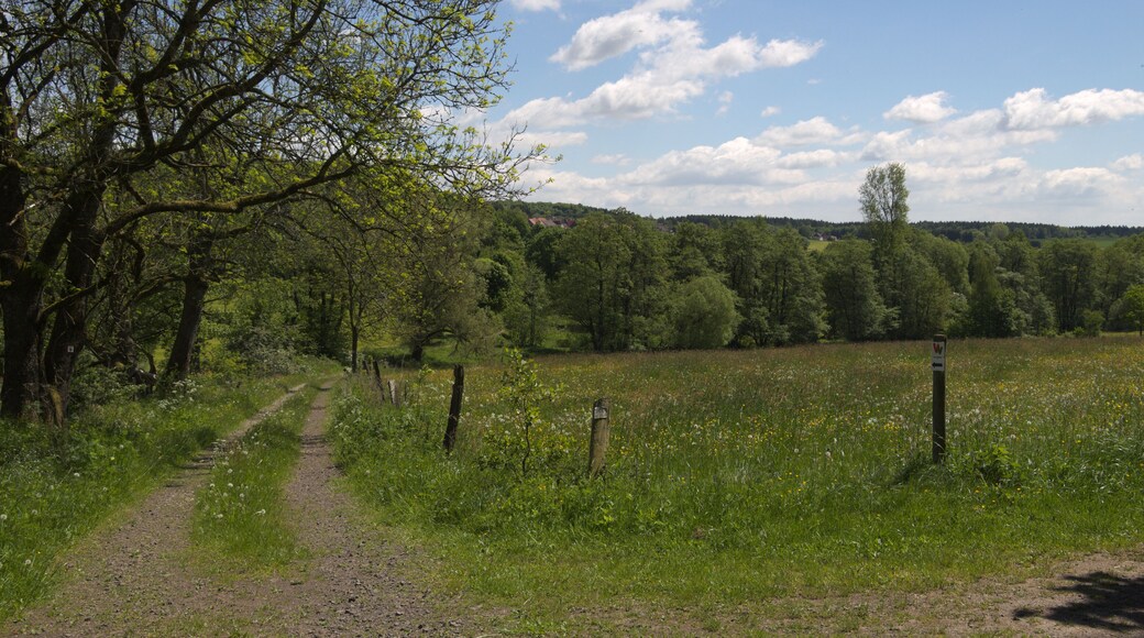 This is a picture of the protected area listed at WDPA under the ID