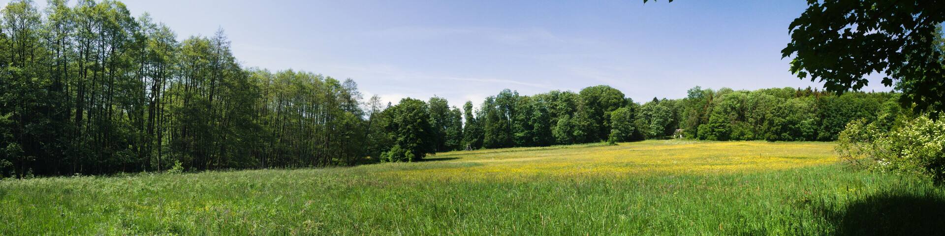 This is a picture of the protected area listed at WDPA under the ID