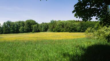 This is a picture of the protected area listed at WDPA under the ID