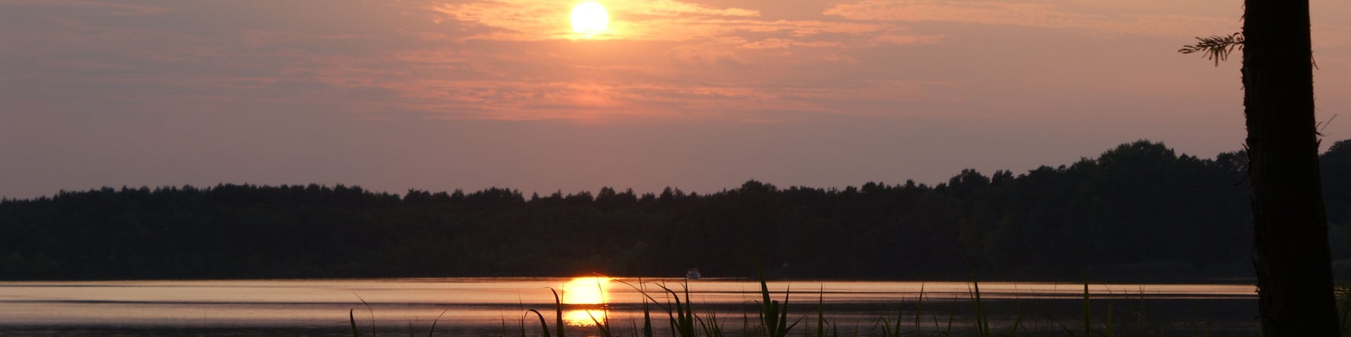Atardecer sobre un lago tranquilo con siluetas de árboles y un árbol en primer plano.