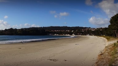 A sandy beach with gentle waves, a clear sky, and a forested hillside in the background.