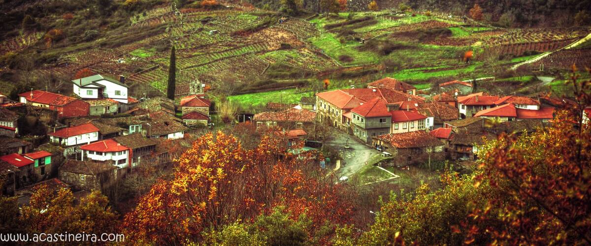 A village with terraced fields and red-roofed houses.