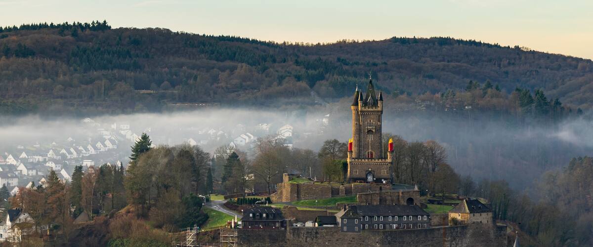 A castle on a hill with a tower, surrounded by trees and fog.