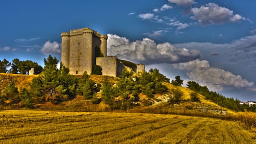 Castle Punoenrostro Illescas