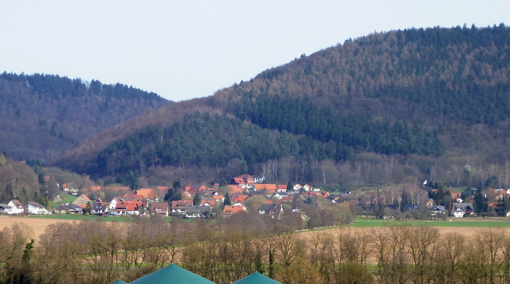 Blick von Westen ĂŒber die Weser auf Volkmarshausen (Nordteil) und den Austritt des Schedetals ins Wesertal