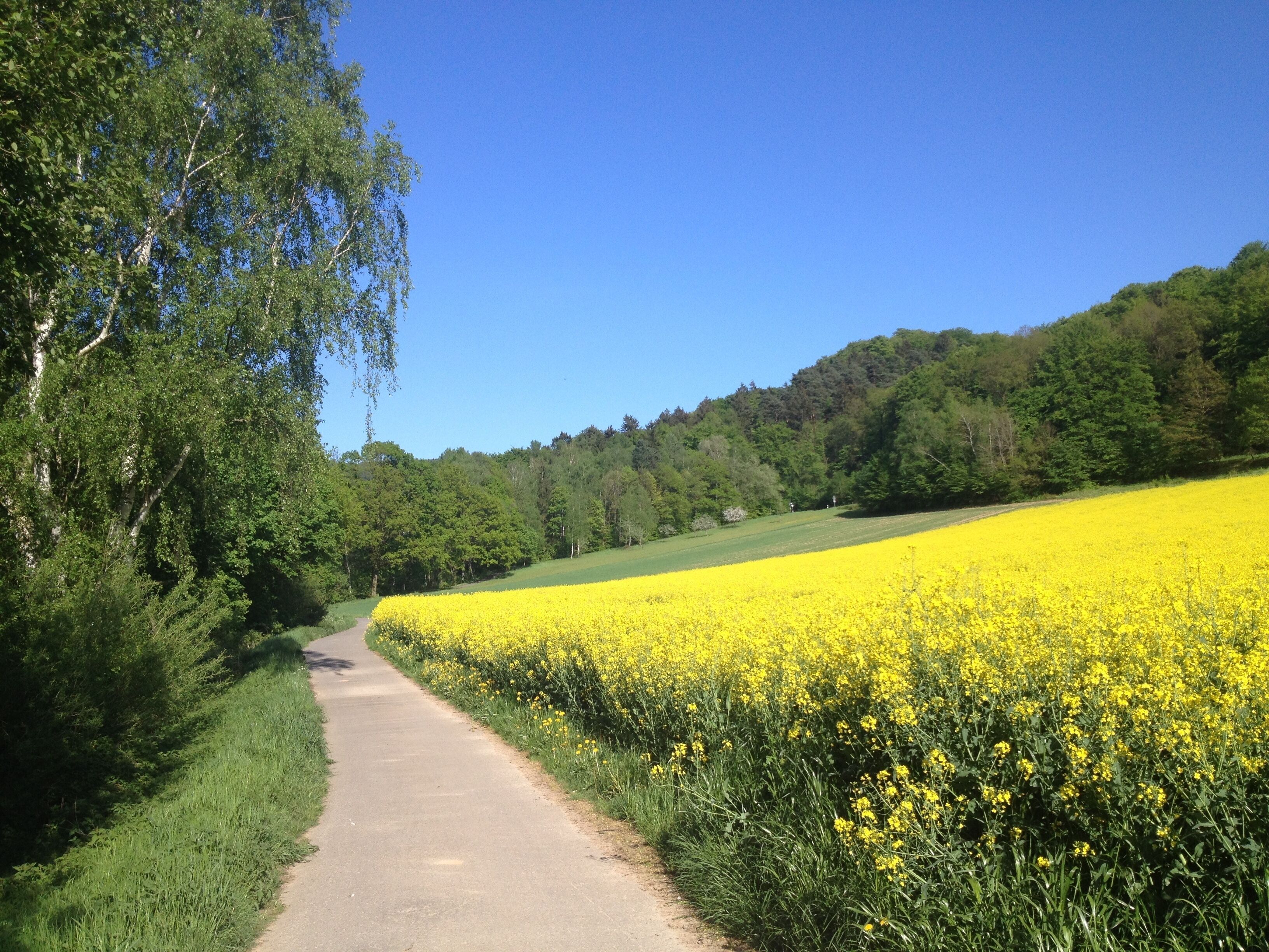 Der Weser-Radweg zwischen Hann. Münden und Oberweser