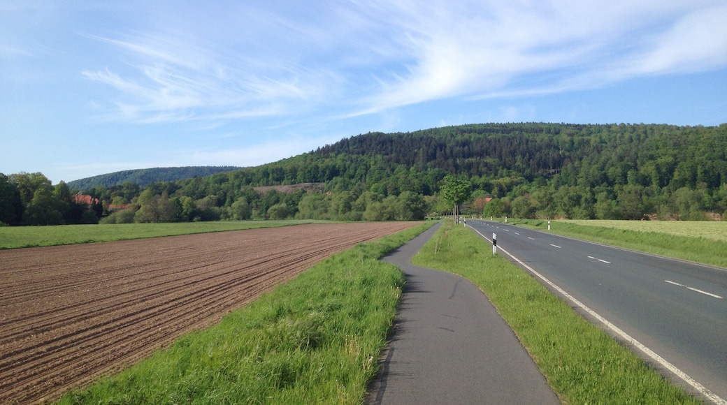 Der Weser-Radweg zwischen Hann. MĂŒnden und Oberweser an der L 561. In der VerlĂ€ngerung der StraĂe sind die DĂ€cher des Eichhofes zu erkennen, etwas weiter links die Kiesgrube und ganz links die DĂ€cher des Gutes Hilwartshausen