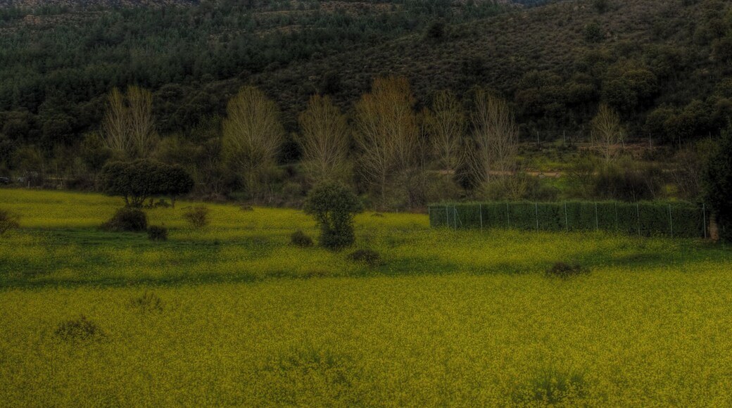 Manzanares el Real, Comunidad de Madrid, España.