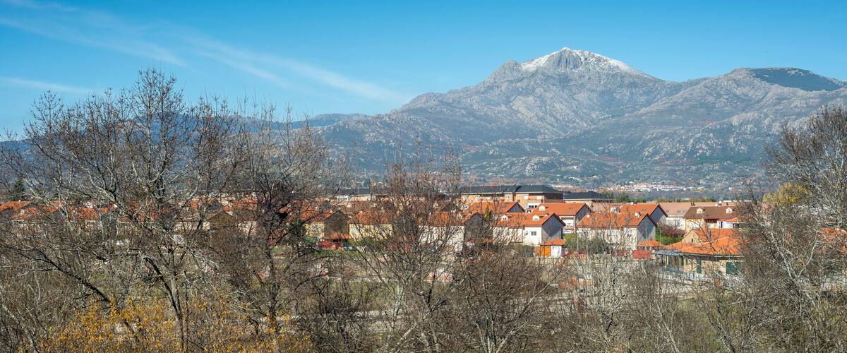 A town with red-roofed buildings, a mountain in the background, and leafless trees in the foreground.