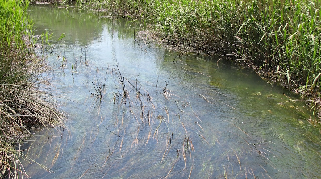 The rio Jiloca rises in artesian wells at the Ojos (eyes) of Monreal de Campo, in Aragon, Spain