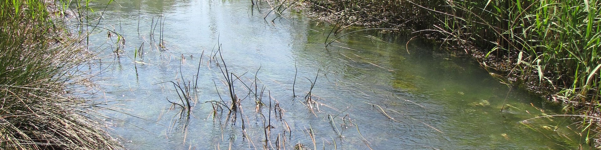 The rio Jiloca rises in artesian wells at the Ojos (eyes) of Monreal de Campo, in Aragon, Spain