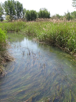The rio Jiloca rises in artesian wells at the Ojos (eyes) of Monreal de Campo, in Aragon, Spain