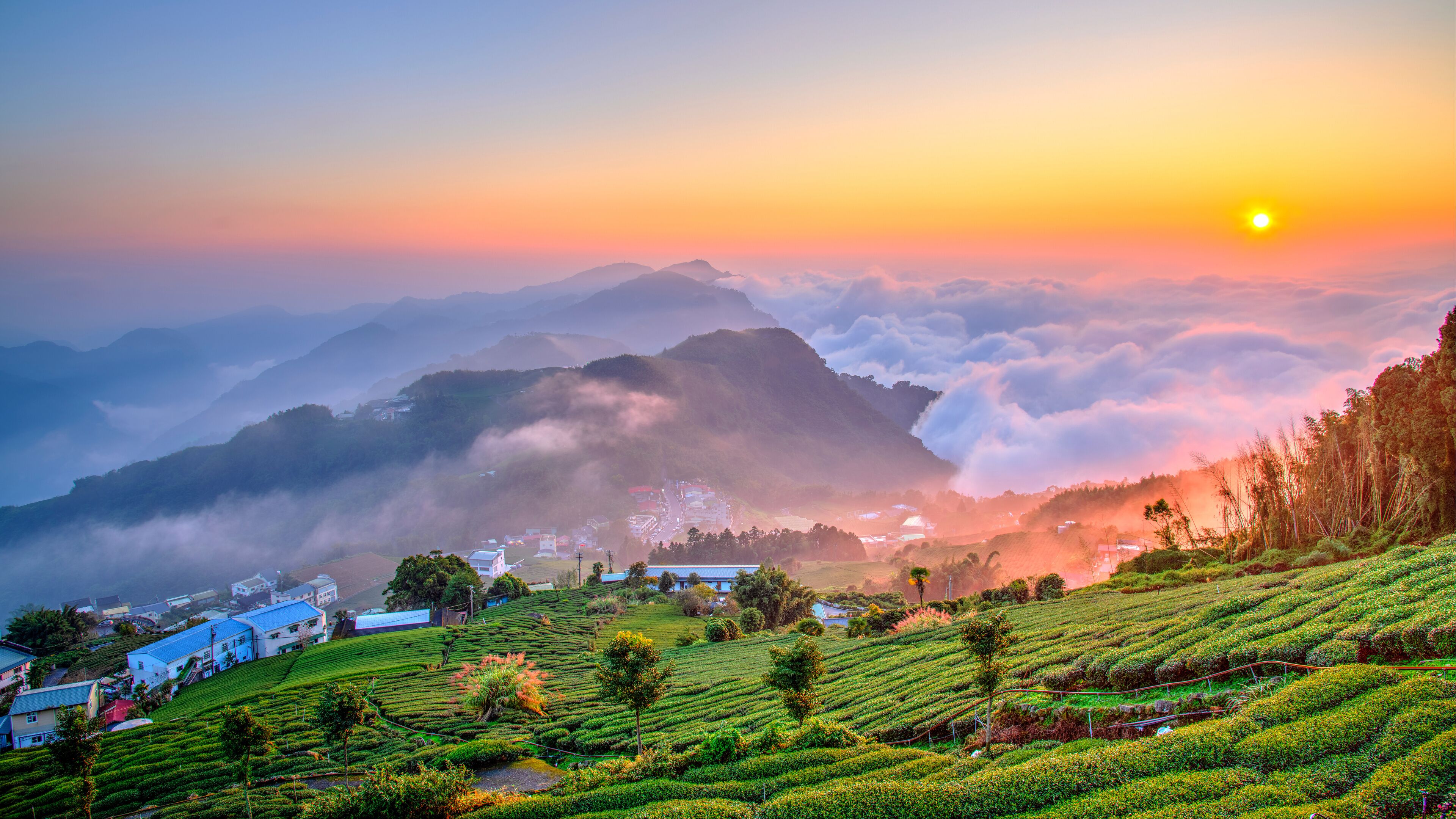 Sunset with Sea of Cloud, Alishan National Park, Taiwan