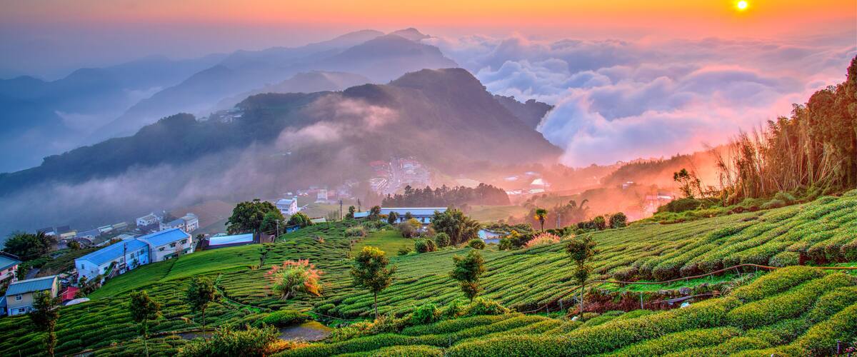 A sunrise over a mountainous landscape with terraced tea plantations and a village nestled in the valley.