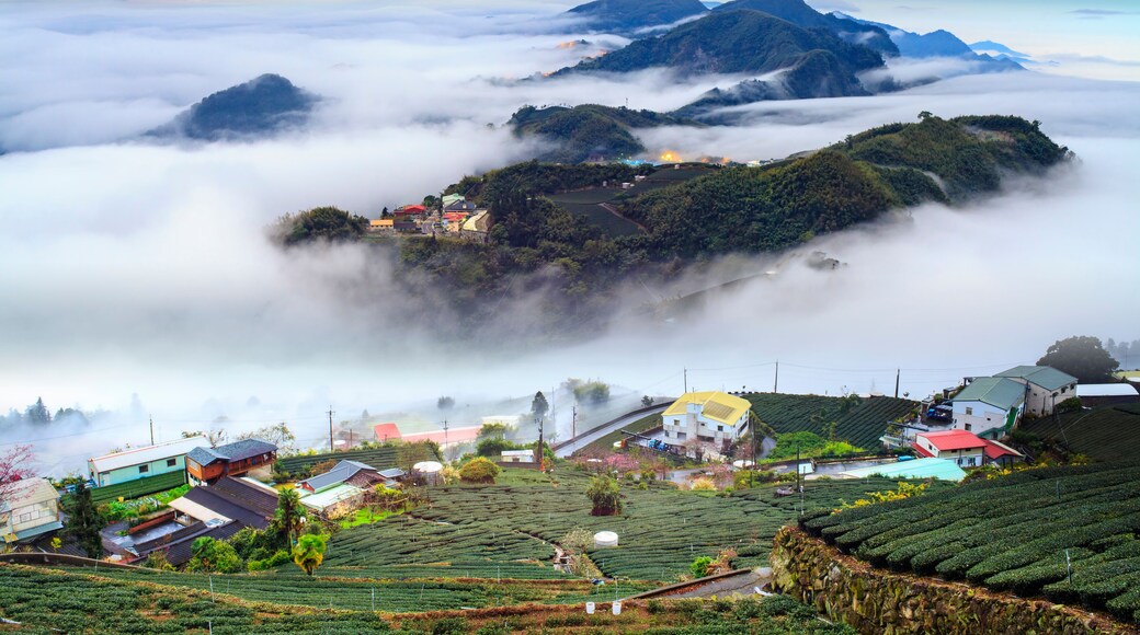 Alishan,Chiayi County,Taiwan:Sunset clouds