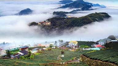 Alishan,Chiayi County,Taiwan:Sunset clouds