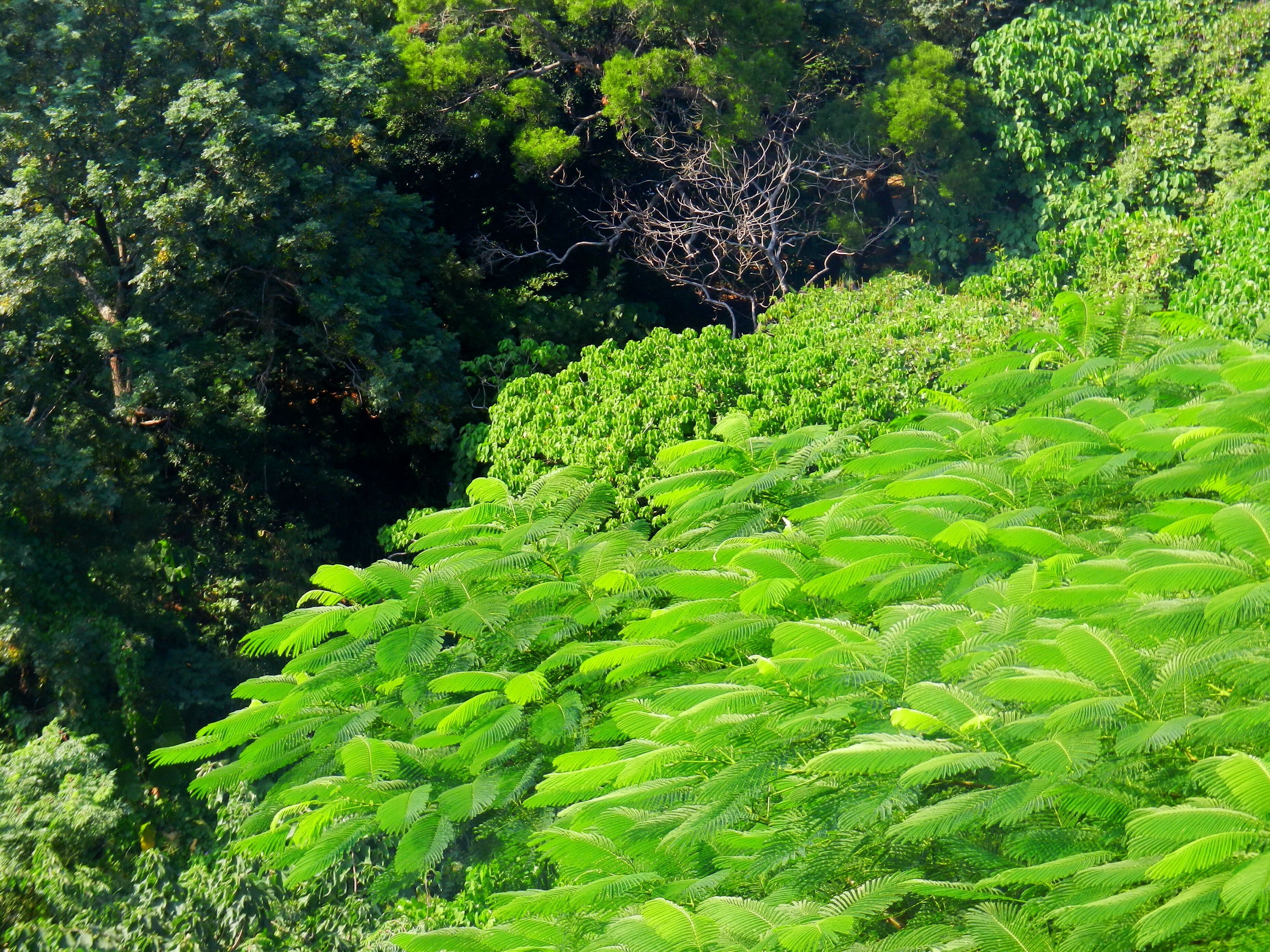 Bagua Mountain 八卦山