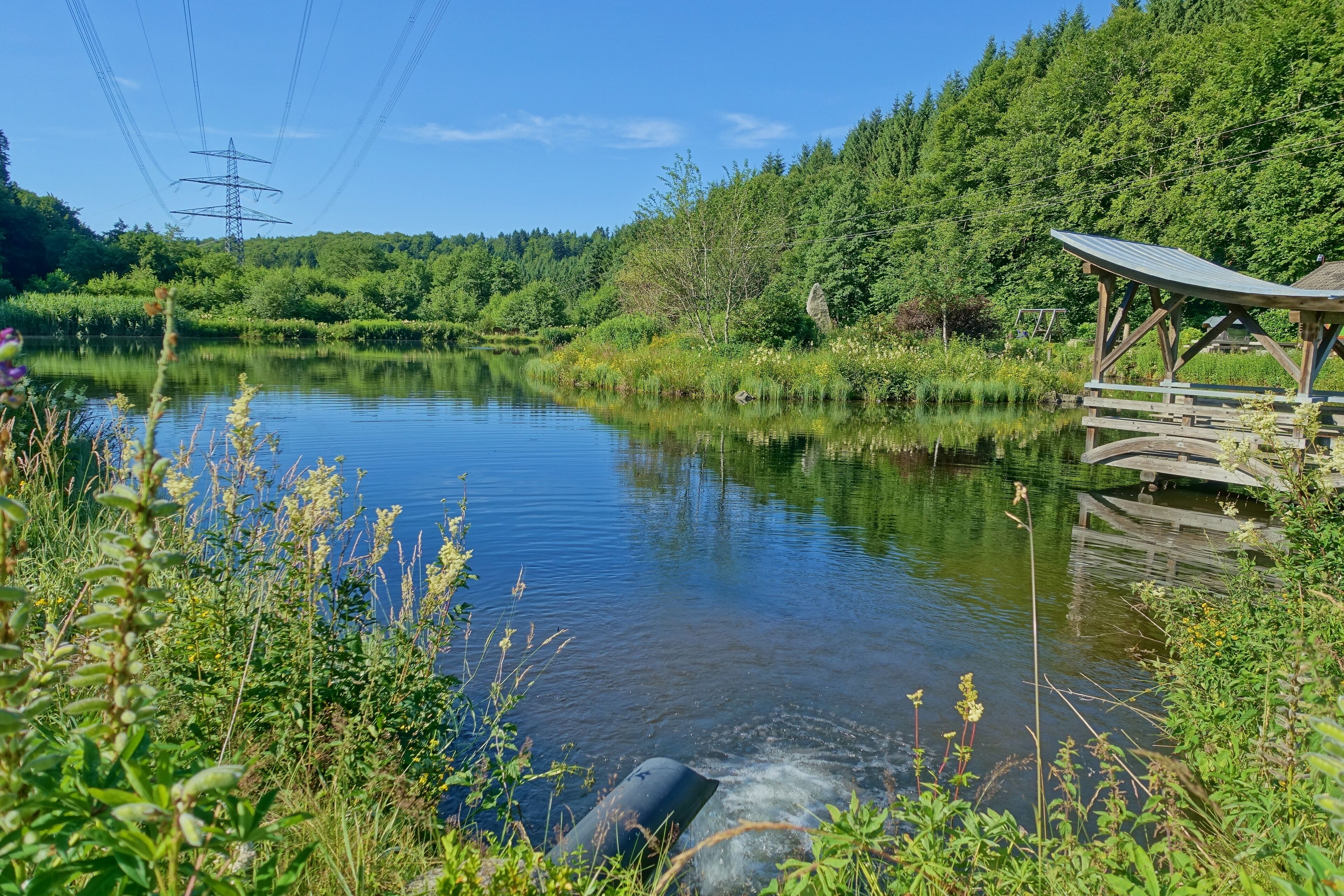 Rüttehof Weiher, 380-kV-Freileitung Wehr–Kühmoos