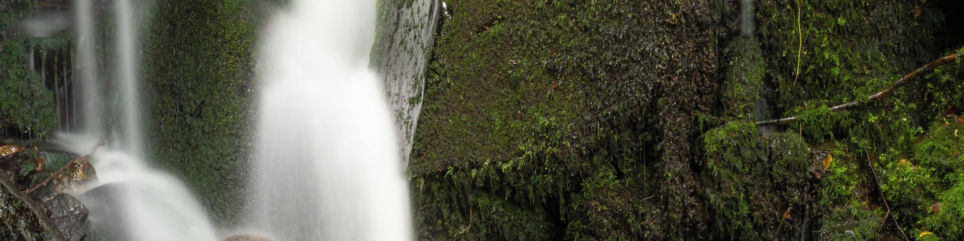 Nice little waterfalls are hidden all around the ruin.