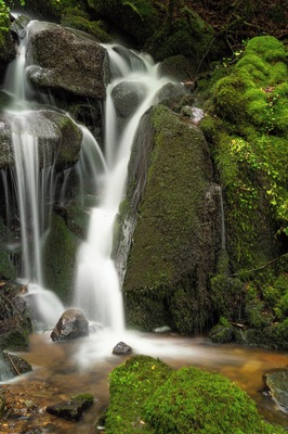 Nice little waterfalls are hidden all around the ruin.