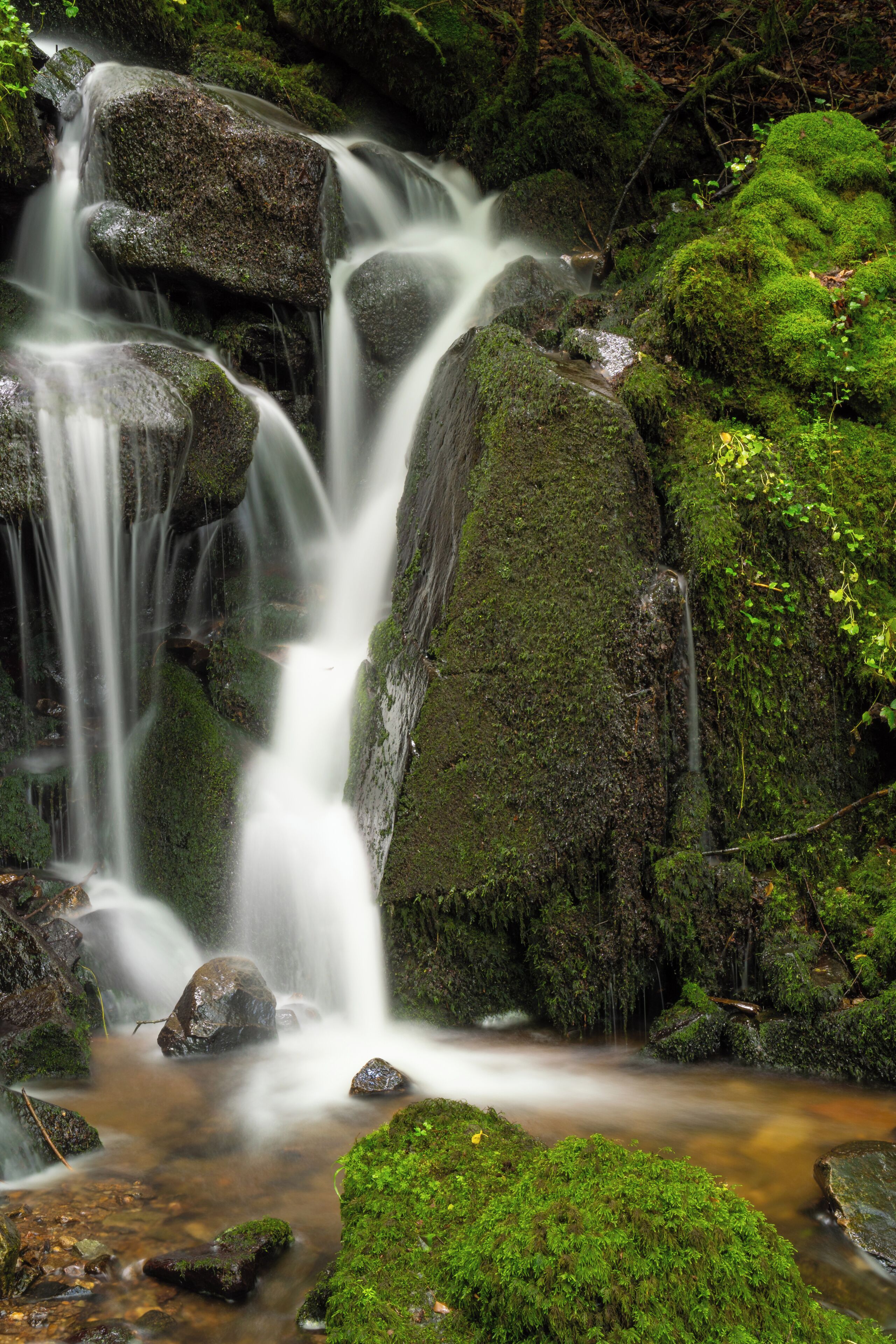 A waterfall cascading over moss-covered rocks in a forested area.