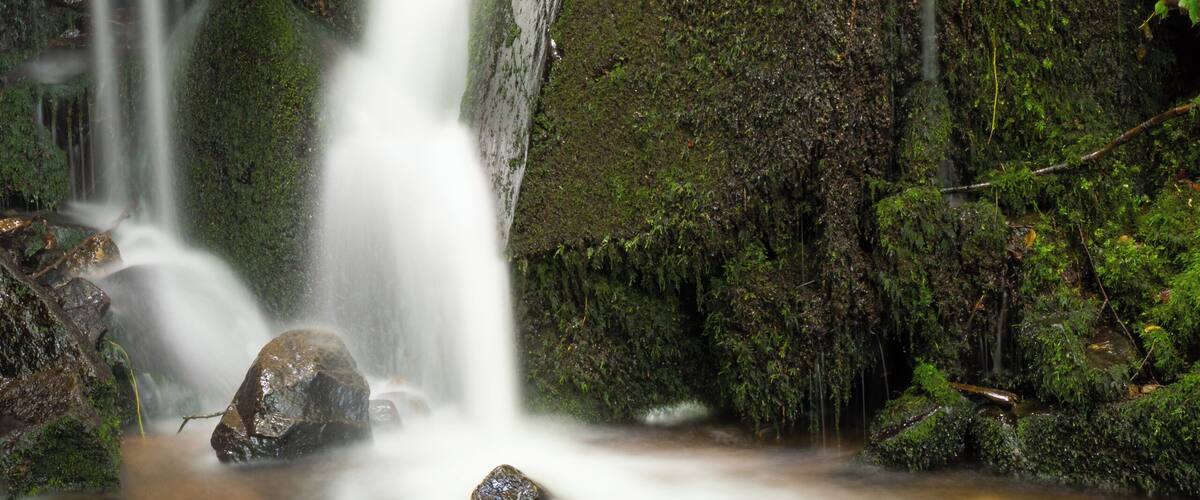 A waterfall cascading over moss-covered rocks in a forested area.