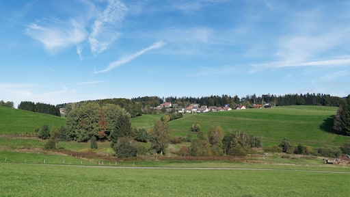 Rickenbach