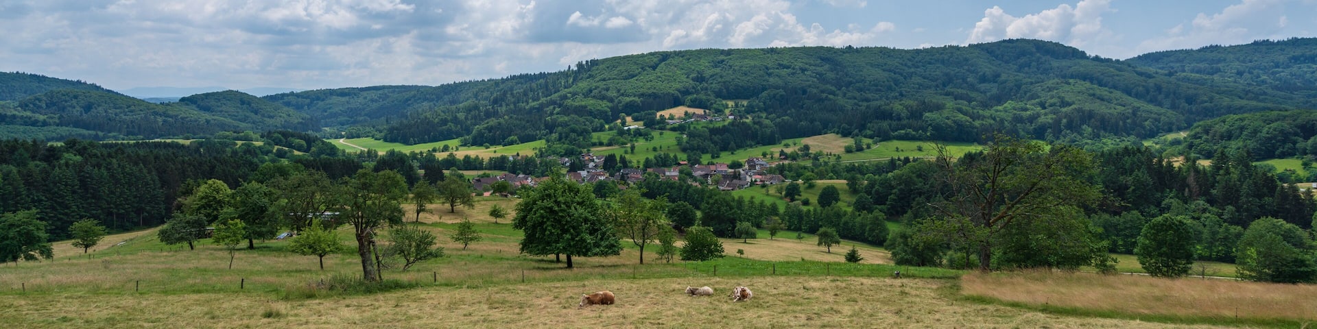 Blick auf Schlächtenhaus