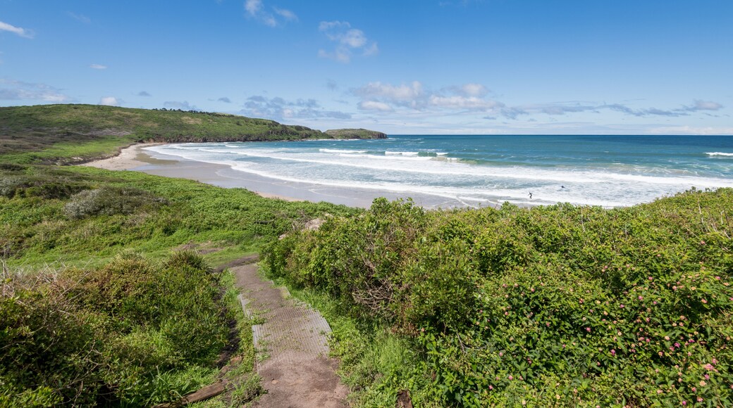 Killalea Beach and Coastline, New South Wales