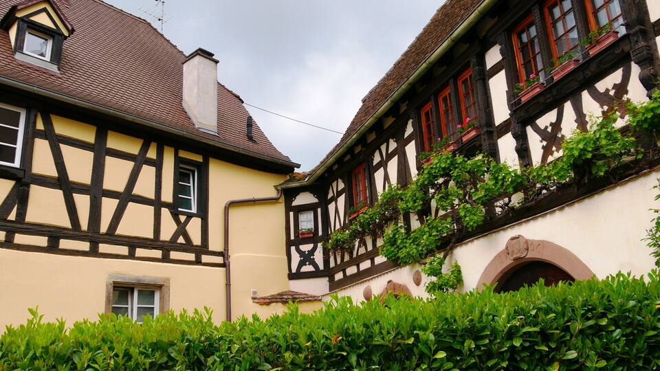 A traditional half-timbered house with a tiled roof and ivy growing on the walls.