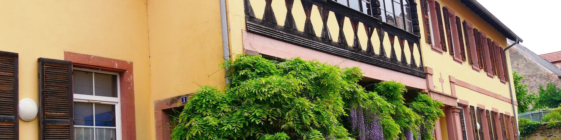 A yellow building with wooden shutters, a balcony with black balustrades, and green ivy climbing the walls.