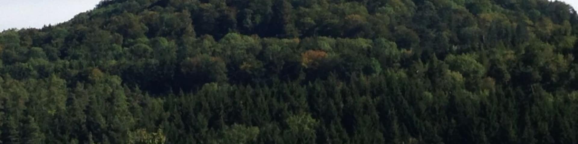 There is a shuttle bus that takes you up the hill to the castle. Have lunch at the castle with the beautiful view of the valley.