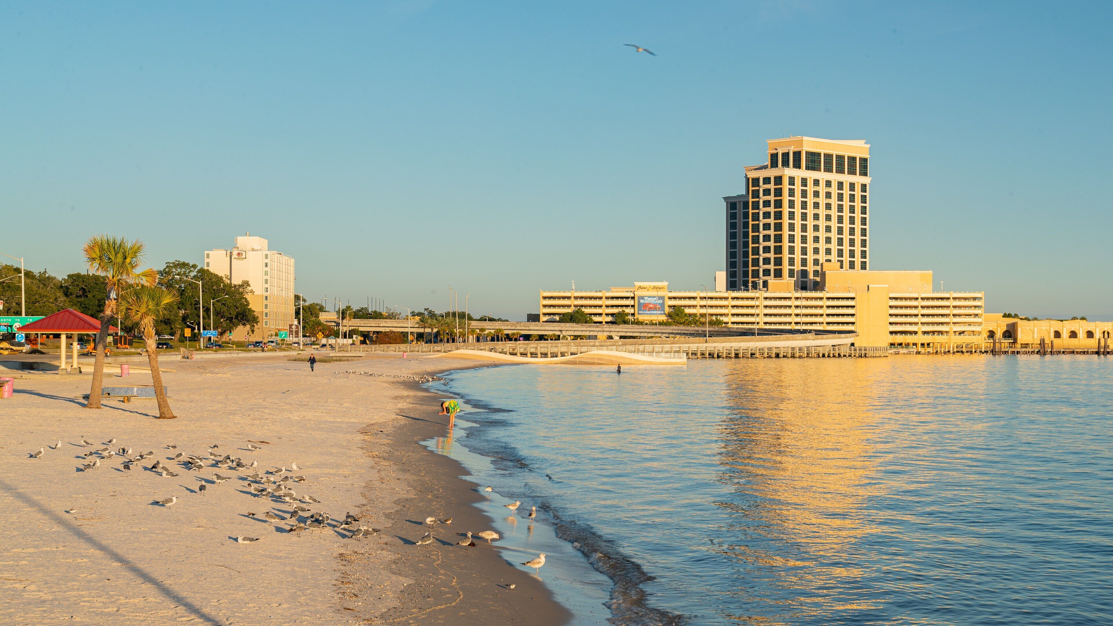 Biloxi Beach which includes a sandy beach, a coastal town and general coastal views