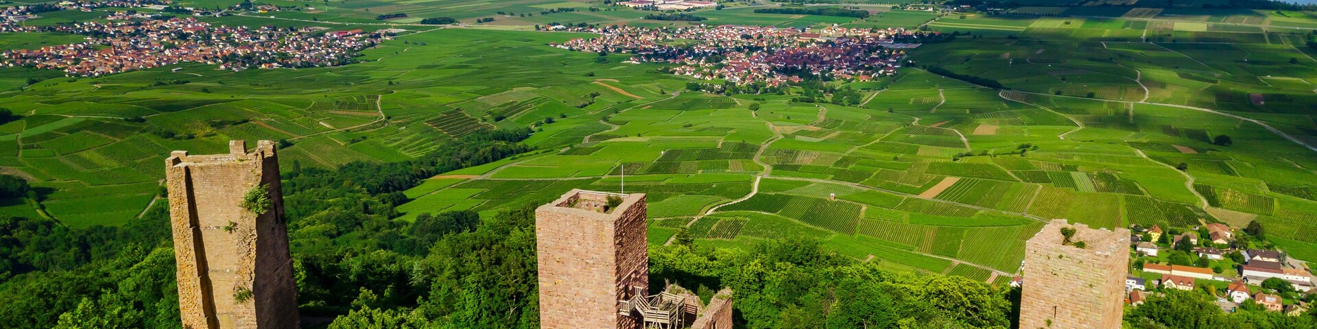 Um castelo rodeado por extensas áreas verdes e uma cidade ao longe.