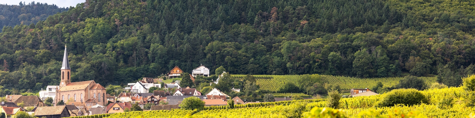Village Husseren-les-Châteaux and the three castles of Husseren-les-Châteaux, in Alsace, in Vosges, on Alsace Wine Route, Haut-Rhin, Grand Est, France