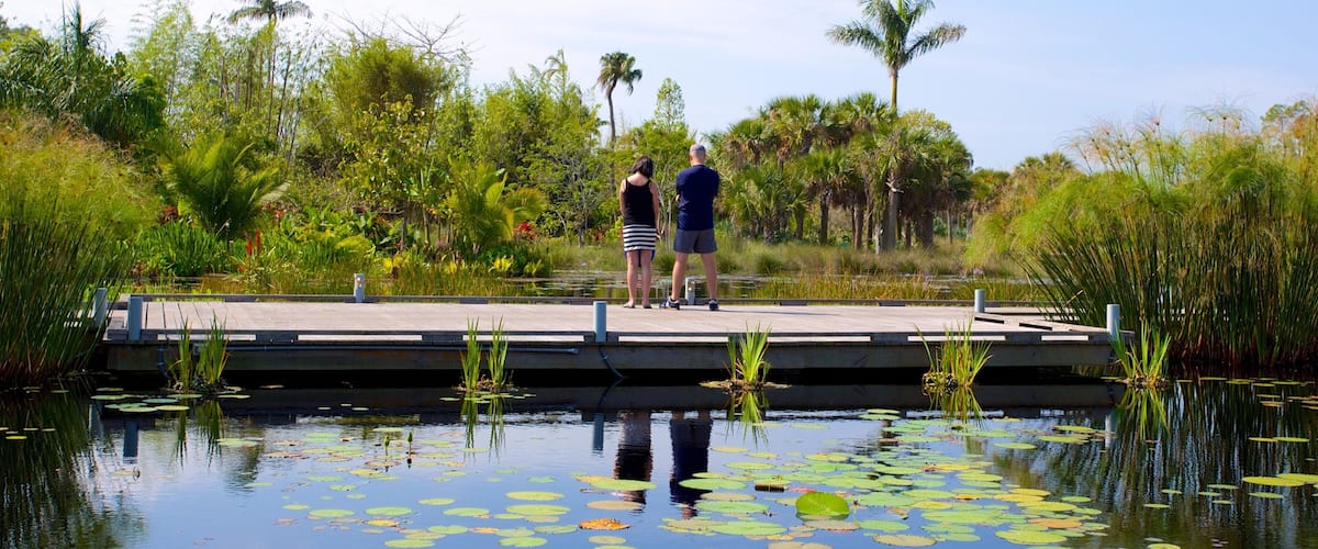 Naples Botanical Garden showing a garden, a pond and a bridge