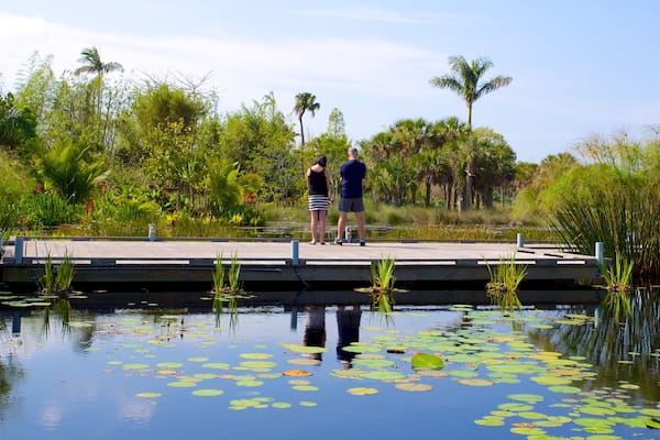 Naples Botanical Garden showing a garden, a pond and a bridge