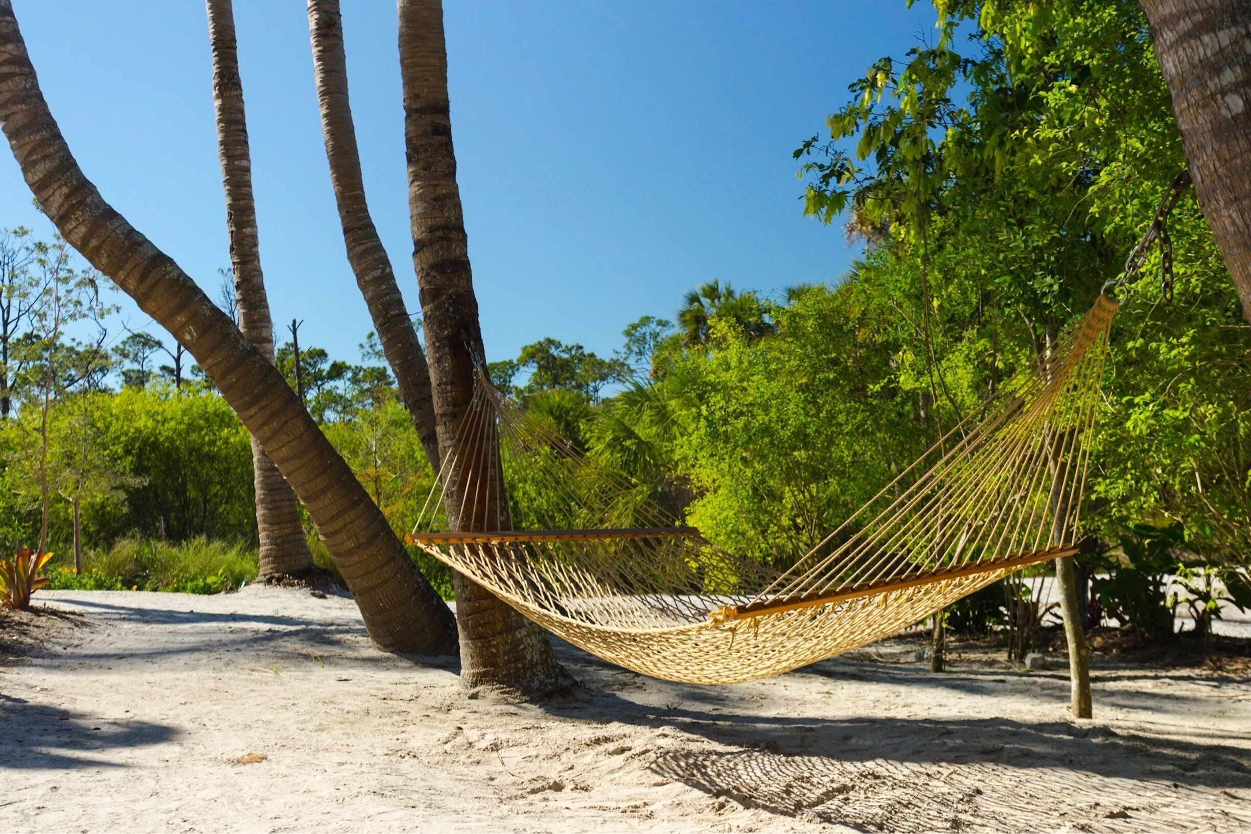 A hammock between palm trees on a sandy beach.