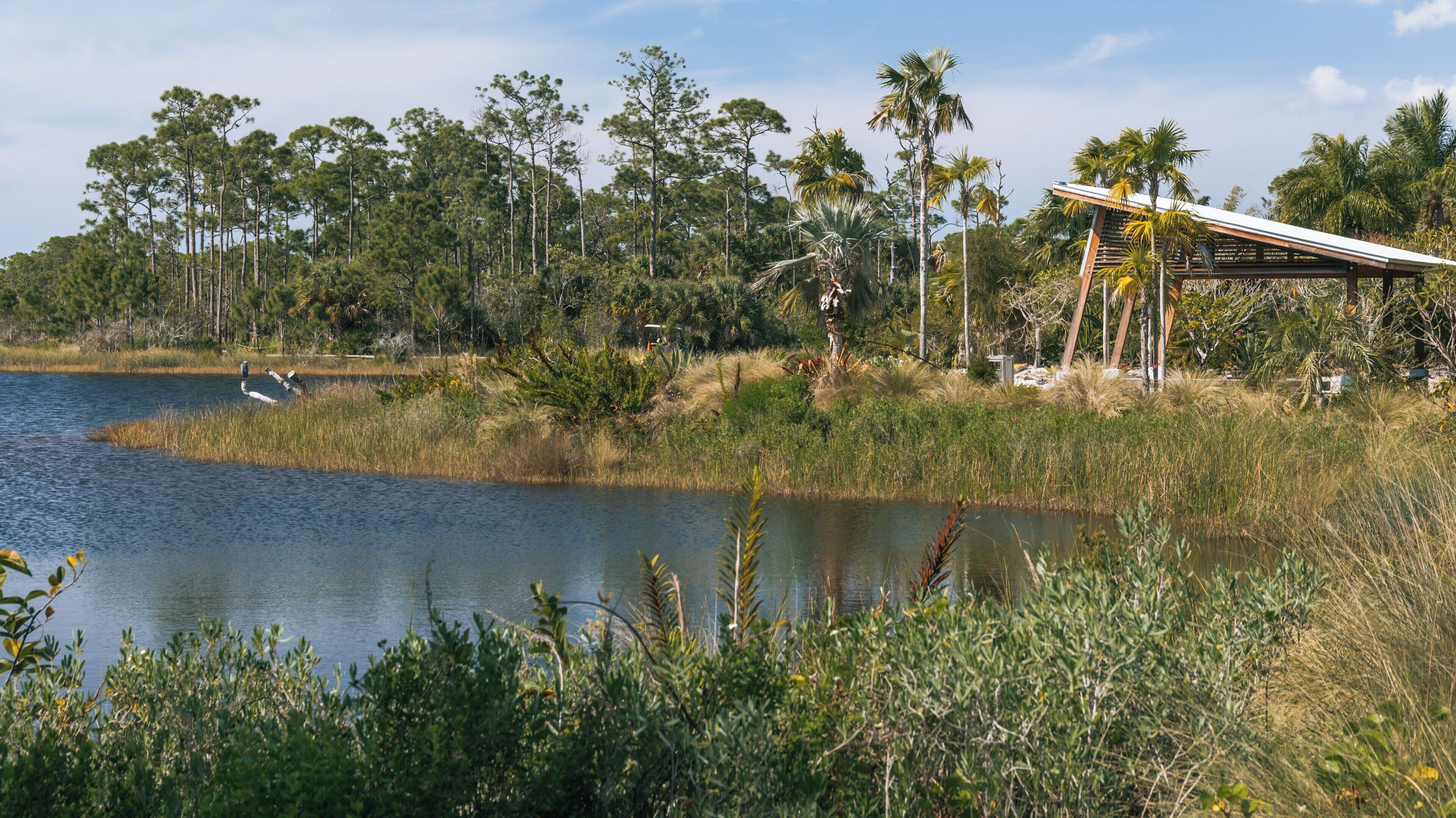 Exploring the serene landscapes of Naples Botanical Garden in East Naples Florida with lush greenery and tranquil waters