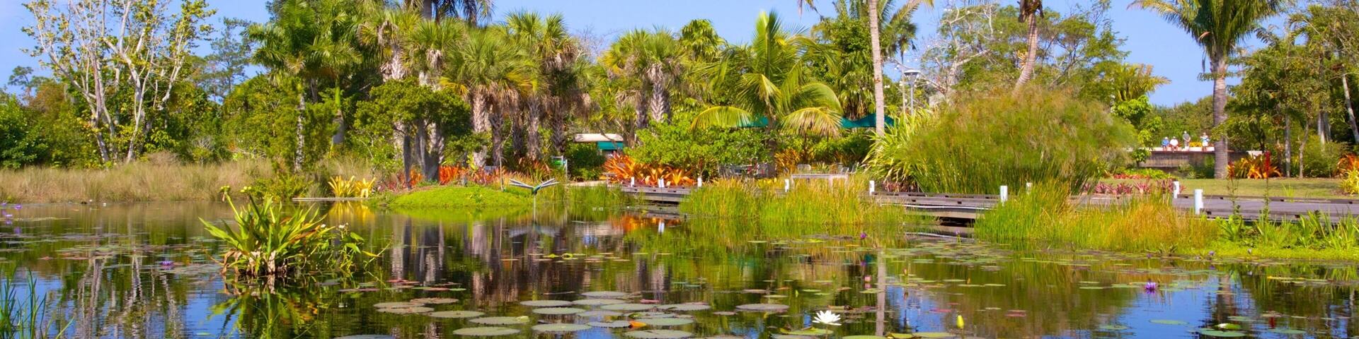Jardin botanique de Naples mettant en vedette parc et mare