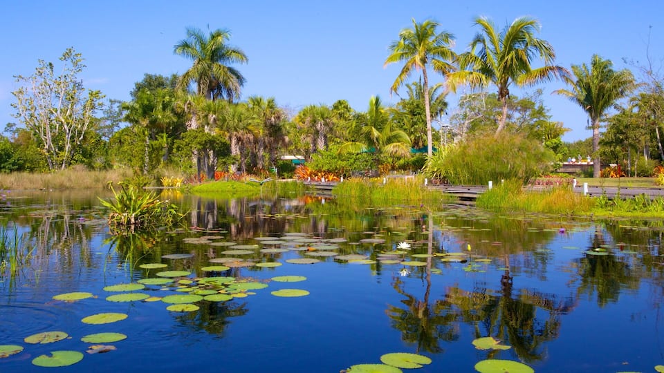 Naples Botanical Garden featuring a park and a pond