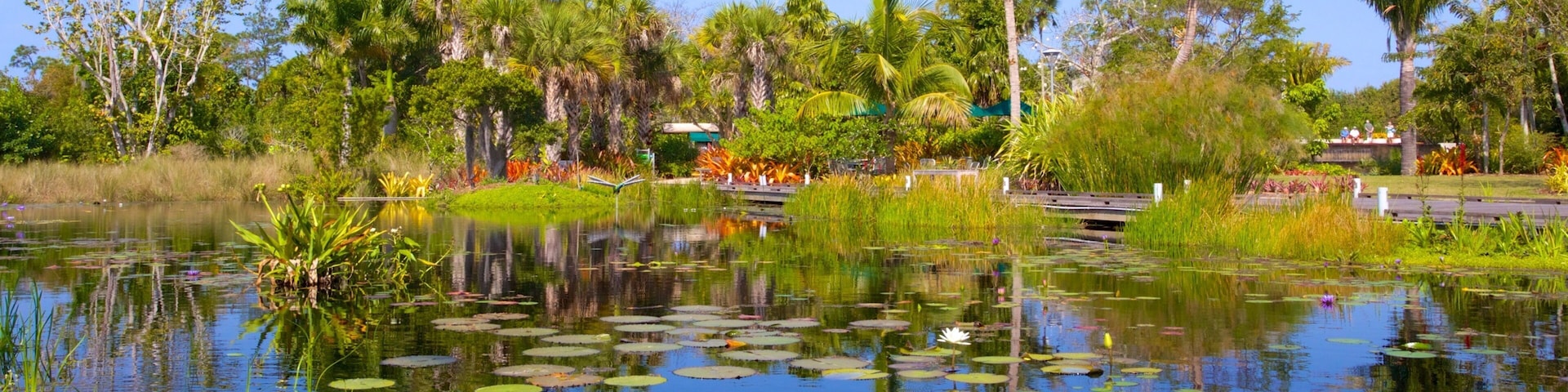 Naples Botanical Garden featuring a park and a pond