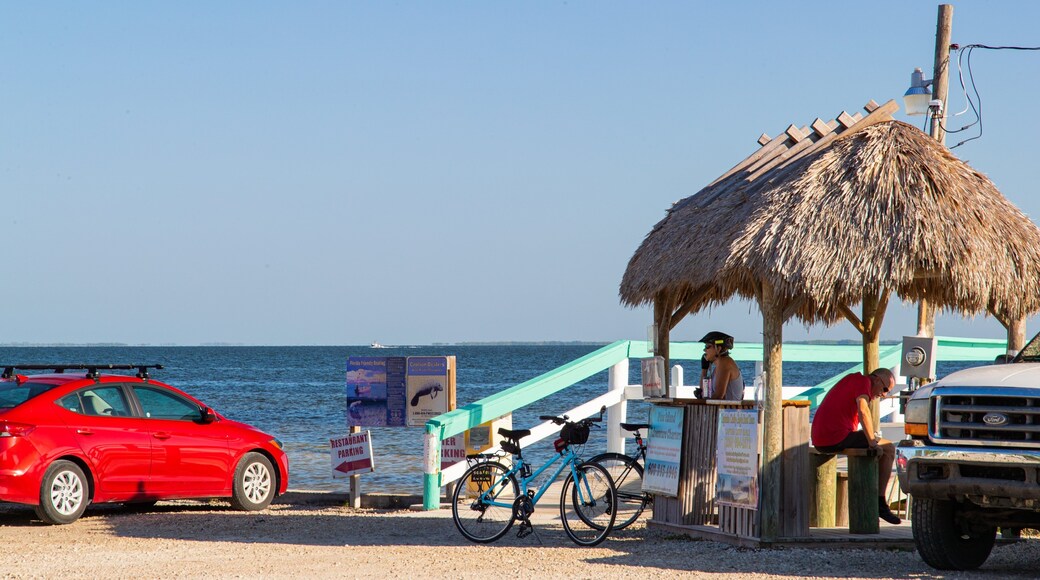 Bokeelia showing general coastal views and a beach