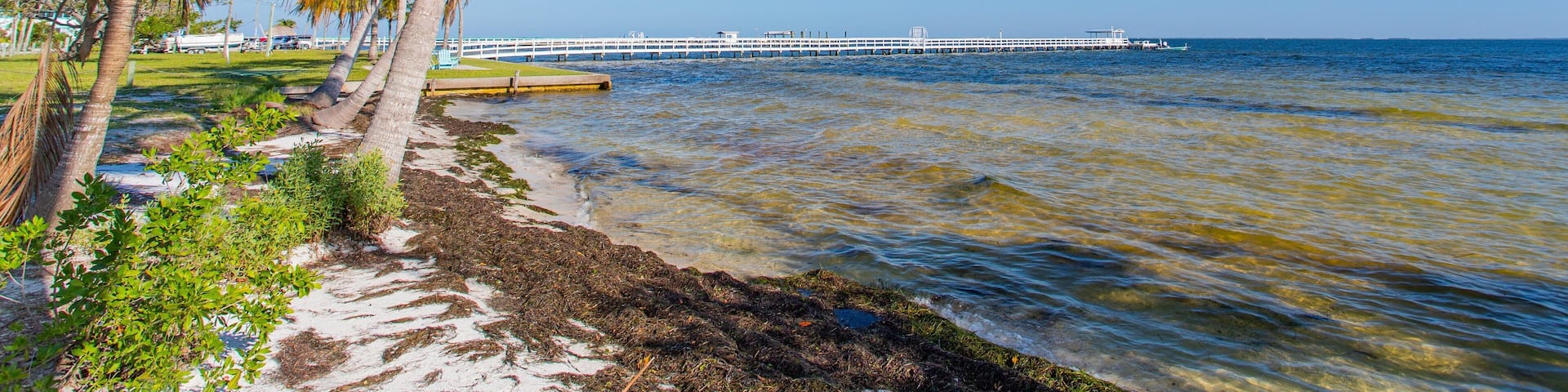 Bokeelia showing general coastal views