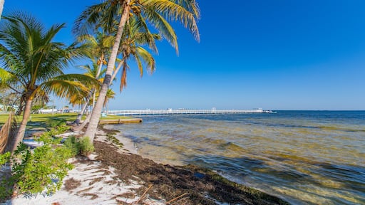 Bokeelia showing general coastal views