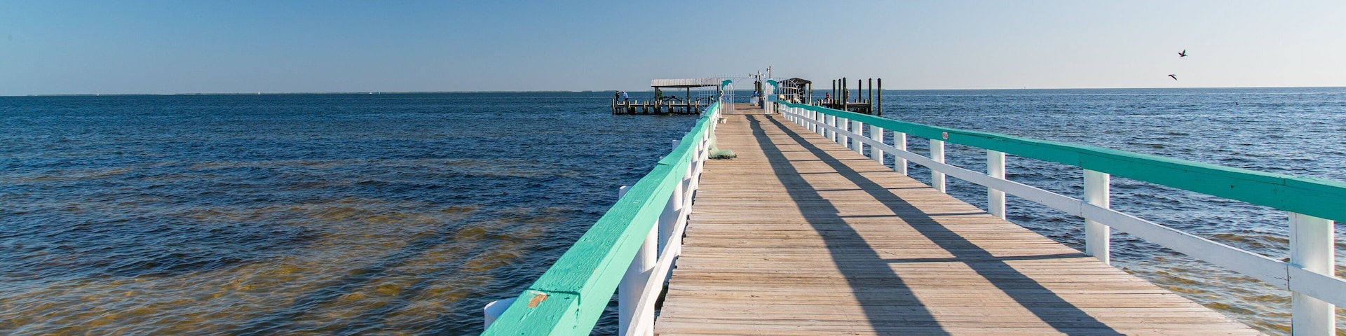 Bokeelia featuring general coastal views