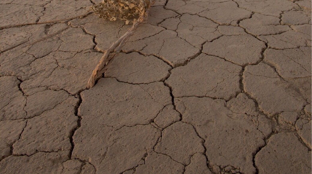 Great place for sunsets. #bvstrove